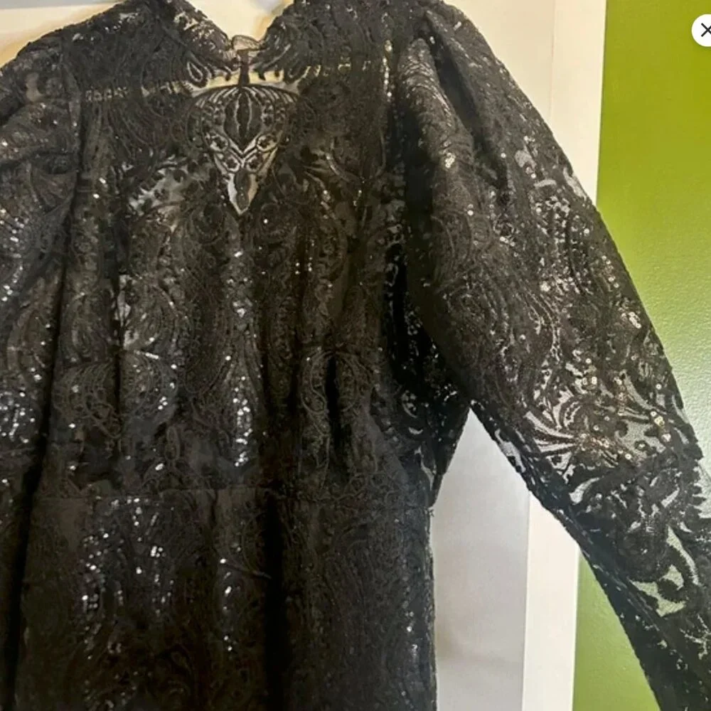 Eloquii Embellished Victorian Gothic Dress - Tortured Poets Society Vibe SZ 20 - Picture 3 of 5